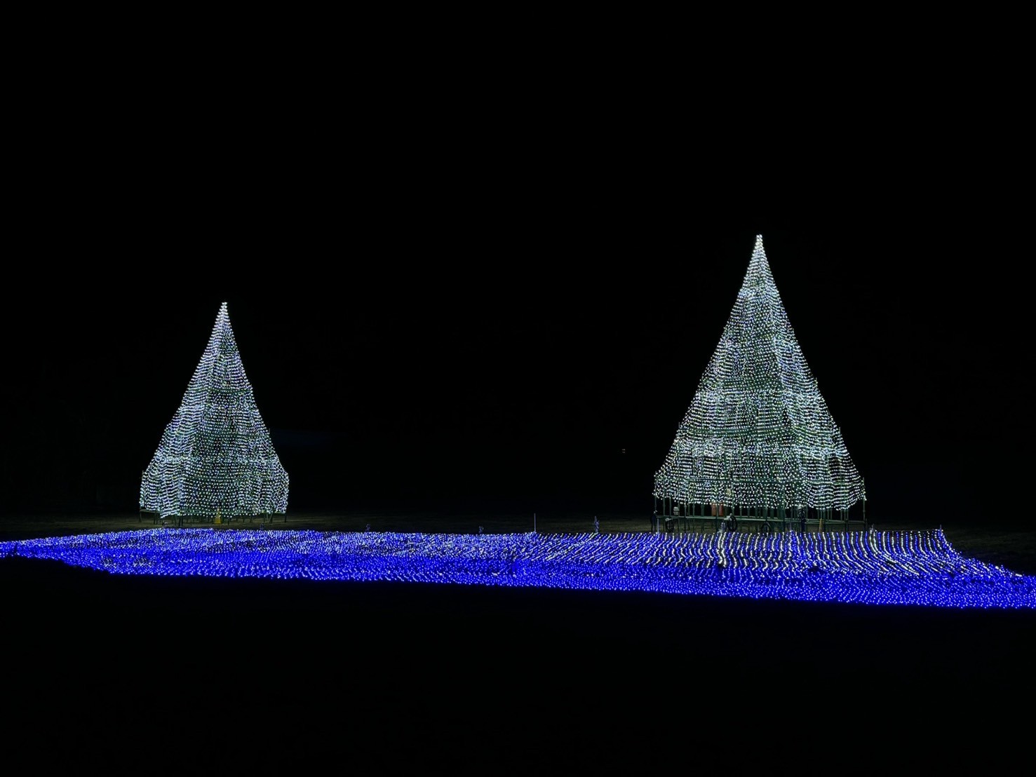 クリスマスイルミネーション1