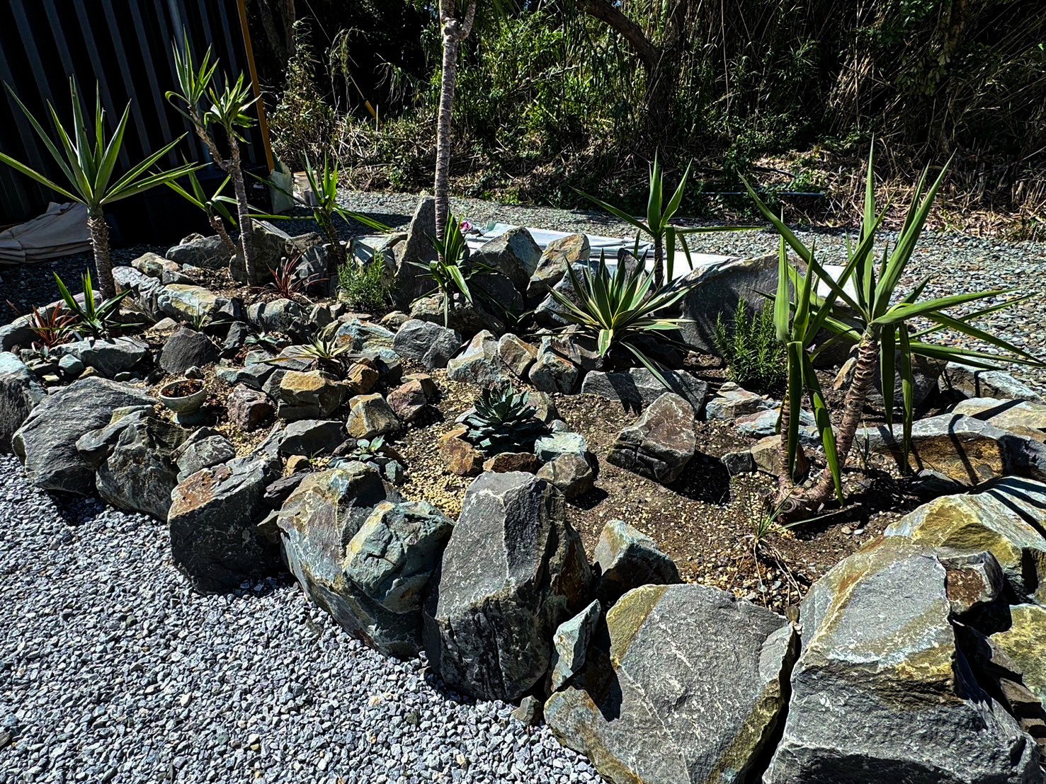 ロックガーデン1