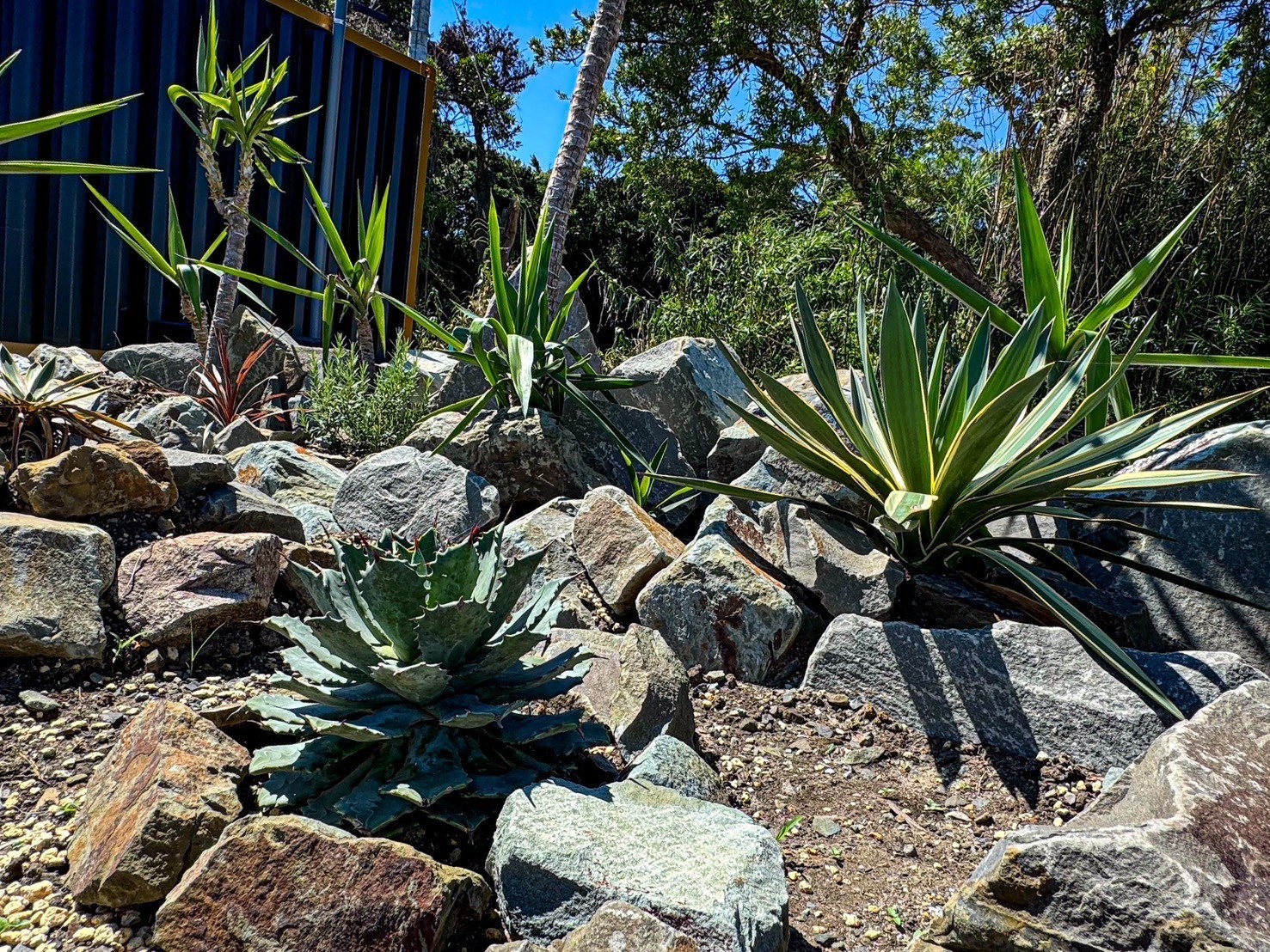 ロックガーデン2