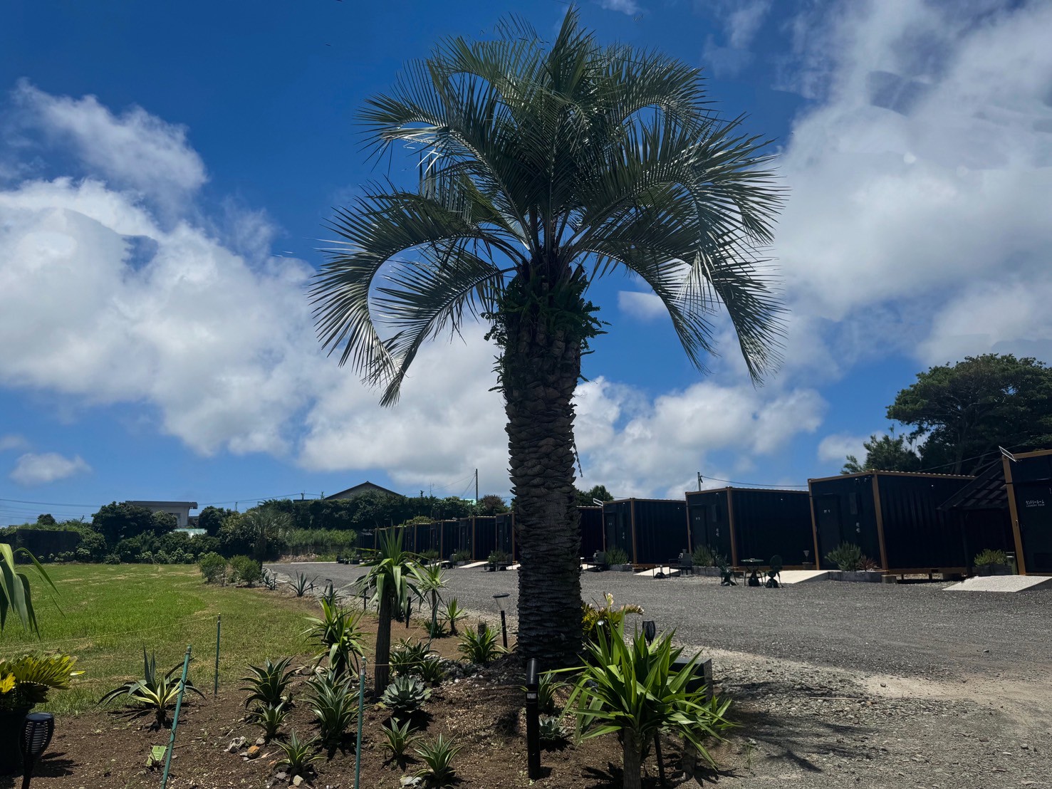 ロックガーデン3