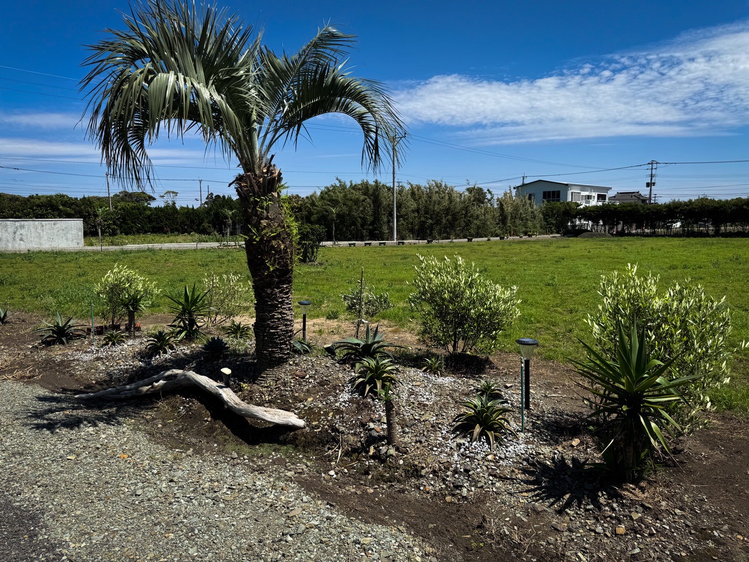 ロックガーデン4